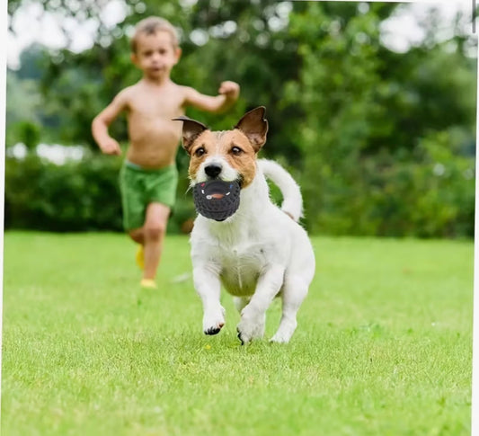 Tire-shaped dog toy
