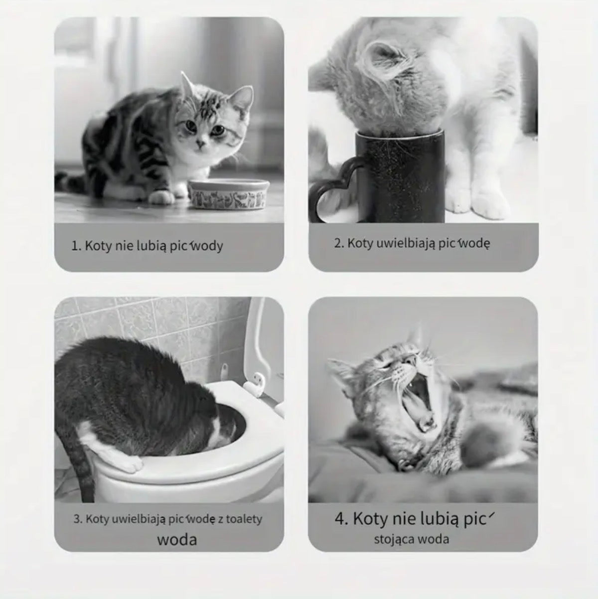 pet waterer